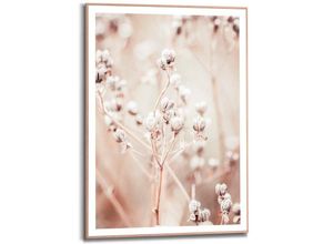 8714597626131 - Bild DRIED WHITES (LBH 50x160x70 cm) LBH 50x160x70 cm bunt Kunstdruck Gemälde Wandbild