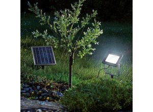 4260057869647 - - Solarstrahler kaltweiß Flutlicht Solarleuchte led Garten Deko 102702