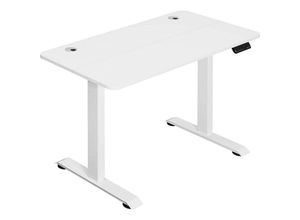 4063425158646 - Woltu - Höhenverstellbar Schreibtisch Elektrisch mit Tischplatte 120 x 60 cm und 4 Memory-Steuerungen Weiß + Weiß Gestell