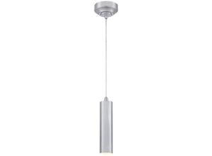 4895105613646 - - led Pendelleuchte Rayman Nickel gebürstet