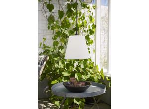 7391482040848 - Star Trading Deutschland Gmbh - LED-Lampenschirm Gardenlight HxB 30cm x 35cm