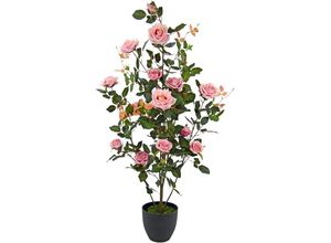 4019844778361 - Kunstbaum IGEA Rosenbusch im Topf Kunstpflanzen Gr B H L 45 cm x 115 cm x 45 cm 1 St rosa Kunst-Bäume Kunstrosen Kunstpflanzen Rosenstrauch Deko Hochzeit