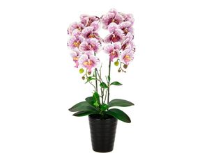 4019844790424 - Kunstblume IGEA Orchidee Kunstpflanzen Gr B H L 26 cm x 58 cm x 18 cm rosa (rosaweiß) Weitere Weihnachtsdeko Im Topf Phalaenopsis Orchidee mit Übertopf Hochzeit