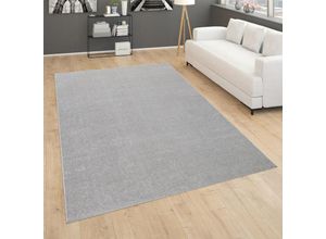 4061981125447 - Teppich Für Wohnzimmer Einfarbig Kurzflor Schlicht Und Modern In Silber 80x150 cm - Paco Home