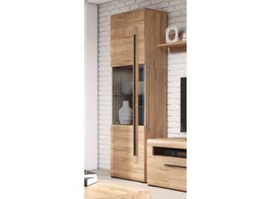 4066075022121 - Lomadox - Vitrinenschrank Eiche Grandson Nb TURDA-83 moderner Stil b h t ca 60 204 39 cm - braun