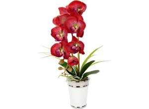 4019844793388 - Kunstblume IGEA Orchidee Kunstpflanzen Gr B H L 30 cm x 52 cm x 40 cm rot Weitere Weihnachtsdeko im Topf aus Keramik Seidenblume Real Touch