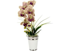 4019844793340 - Kunstblume IGEA Orchidee Kunstpflanzen Gr B H L 30 cm x 52 cm x 40 cm lila (mauve) Weitere Weihnachtsdeko im Topf aus Keramik Seidenblume Real Touch