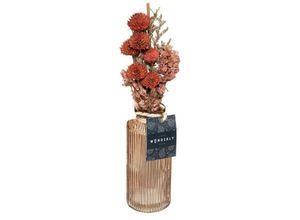 5902973423273 - Atmosphera - Trockenblumen in einer Vase 28 cm