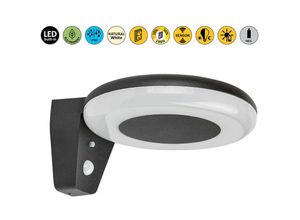 5996595770105 - 77010 Wandleuchte certovo schwarz led 4W IP44 4000K B22cm H10cm Ø185cm 3-stufen dimmbar - Rabalux