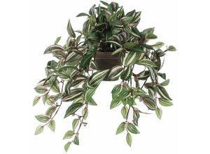 8712293766748 - - Mica Kunstpflanze Tradescantia hängend grün im Topf 45 x 25 x 25 cm Kunstpflanzen