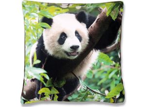 4035179108871 - Bestlivings - Kissenbezug Fotodruck Motiv in 40x40 cm Flauschig weiche Kissen-Hülle in vielen Motiven erhältlich ( Design Panda ) - Panda