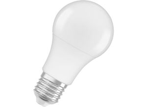 4058075757608 - Star+ LED-Lampe mit Niedervolt für E27-Sockel matte Optik Kaltweiß (4000K) 600 Lumen Ersatz für herkömmliche 45W-Leuchtmittel nicht dimmbar