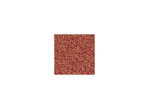 4014995427977 - Servietten Motiv Leaves and Berries 33 x 33 cm - 20er Pack Servietten - Braun&company