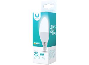 4251810810013 - Forever - 10 Stück ] Light led E14 3W ersetzt 25W Glühibrne Leuchtmittel C37 3000K Warmweiß 240 Lumen Kerzenform Energiesparlampe