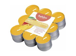 8717847151537 - Bolsius - Duftteelichter True Scents Mango ø 38 cm 18er Pack Teelichter