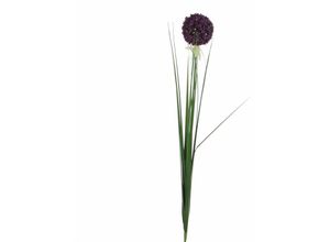 8712799351660 - - Mica künstliche Allium violett 80 cm Kunstpflanzen