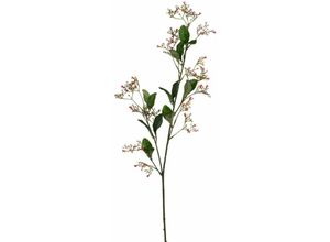 8712293261540 - - Mica künstliche Escallonia rosa 77 cm Kunstpflanzen