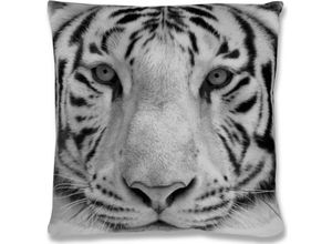 4035179108840 - Bestlivings - Kissenbezug Fotodruck Motiv in 40x40 cm Flauschig weiche Kissen-Hülle in vielen Motiven erhältlich ( Design Tiger Grey ) - Tiger grey