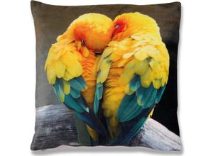 4251028127279 - Bestlivings - Dekokissen Fotodruck Motiv in 40x40 cm Flauschig weiches Kissen in vielen Motiven erhältlich ( Design Sittiche ) - Sittiche