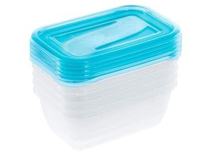 4052396045871 - Zanvic - 5er Set Lunchboxen 5 x 500 ml 155 x 105 x 6 cm Fredo Fresh Blau transparent