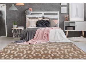 4056216985217 - Hochflorteppich Monroe 300 Taupe