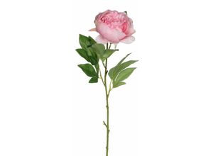 8718861157550 - Mica künstliche Pfingstrose rosa 76 cm Deko Pflanze Einzelblume