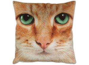 4059222215583 - Dekokissen Fotodruck Motiv in 40x40 cm Flauschig weiches Kissen in vielen Motiven erhältlich ( Design Katze Beige ) - Katze beige