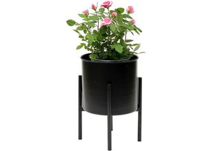 4260700961537 - Dandibo - Blumenhocker mit Topf Metall Schwarz 32 cm Blumenständer 96153 Blumensäule Modern Pflanzenständer Pflanzenhocker