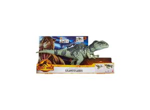 0887961981766 - GYW86 - Jurassic World - Strike N Roar - Giganotosaurus mit Brüllgeräuschen ca 54 cm