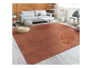 4061981177767 - Teppich Wohnzimmer Kurzflor Schlafzimmer Modernes Einfarbiges Muster Braun Rot 80x150 cm - Paco Home