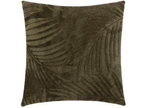 3560232698071 - Atmosphera - Kissen Zoa Flanell - Khakigrün - 40x40 cm Grüner Khaki