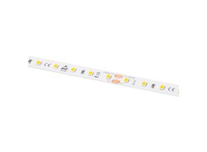 4021553112572 - Unbekannt - Barthelme LEDlight flex 12 10 lite 500 Rolle 500 cm 50414133 LED-Streifen 24 v 500 cm Warmweiß 5