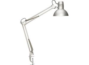 4002390041454 - Schreibtischlampe MAULstudy 823 05 95 Energiesparlampe mit Tischklemme silber 4002390041454 8230595