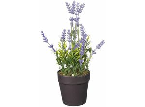 8720362272786 - - Mica künstlicher Lavendel im Topf violett 24 x 10 cm Dekoblumen