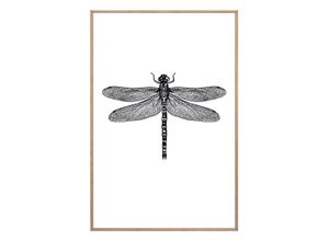 8714597552195 - Bild DRAGONFLY (BH 20x30 cm) BH 20x30 cm bunt Kunstdruck Gemälde Wandbild