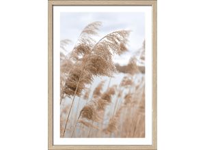 4019449485459 - PRO ART Gerahmtes Bild IN THE BREEZE (BHT 3250x4250x2 cm) BHT 3250x4250x2 cm bunt