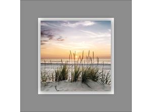 4019449422591 - PRO ART Aludibondbild BEACH IV (LB 50x50 cm) LB 50x50 cm bunt Alubild Metallbild