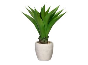 4003529914861 - Kunstpflanze AGAVE (H 75 cm) H 75 cm grün Pflanze Kunstblume Zimmerpflanze