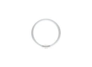 8711500642615 - Philips TL5 Circular 60W Sockel 2GX13 4000K dimmbar