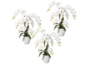 4064118889335 - Phalaenopsis real touch Höhe 670 mm VE 3 Stk Keramiktopf weiß