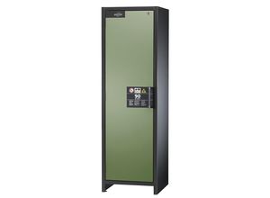 4250101115400 - asecos Feuerbeständiger Industrie-Gefahrstoffschrank Typ 90 HxBxT 1955 x 600 x 615 mm Türe resedagrün