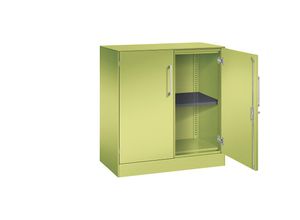 4062084798712 - Flügeltürenschrank ASISTO Höhe 897 mm Breite 800 mm 1 Fachboden viridingrün viridingrün