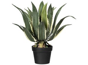 4003529914632 - Kaiserkraft - 570390 Agave americana Kunststofftopf 170 x 140