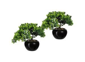 4064118879701 - Kaiserkraft - 570351 Bonsai Lärche Behältnis-Ø 150 mm ve 2