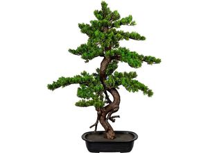 4064118075899 - Kaiserkraft - 656243 Bonsai Myrte Höhe ca 850 mm in