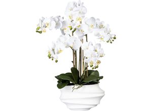 4003529918654 - Phalaenopsis real touch Höhe 750 mm weiß Kunststoffvase weiß