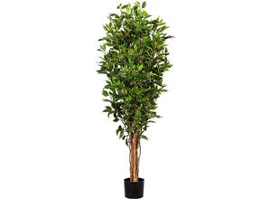 4064118075813 - Ficus benjamina Naturstamm UV-beständig Höhe ca 1500 mm