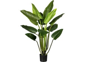 4003529914540 - Kaiserkraft - 570338 Philodendron im Kunststofftopf mit