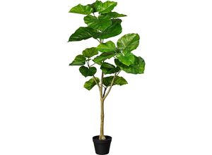 4064118079484 - Kaiserkraft - 656230 Ficus umbellata im Kunststofftopf Höhe