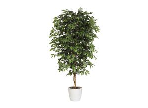 4003529932742 - Ficus benjamina Naturstamm mit Keramiktopf Höhe 2100 mm